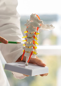 orthopedics